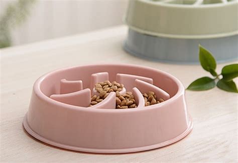 Slow feeder bowl because my cat is just gulping her food too fast. Best Cat Slow Feeder For 2020 | YourCatGal