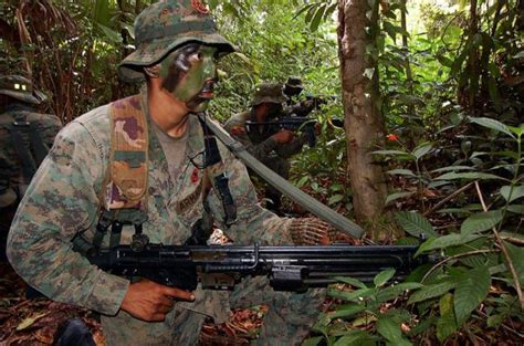 Lea aquí todas las noticias sobre ejército de colombia: Militares enfrentan guerrilleros colombianos en la ...