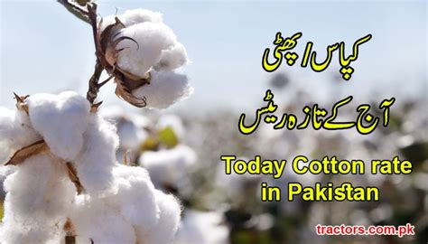 The european central bank (ecb) is the central bank of the 19 european union countries which have adopted the euro. Cotton Price in Pakistan 2020 Today Phutti Rates in Market