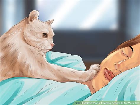 The templates vary from interview schedule templates to employee work schedule templates and many more. 3 Ways to Plan a Feeding Schedule for Your Cat - wikiHow