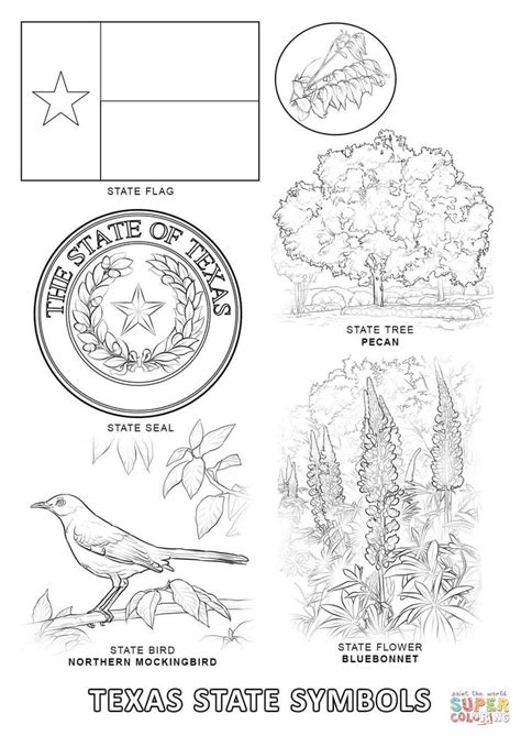 Texas flag coloring page a free travel coloring printable. Texas State Symbols coloring page | Free Printable ...