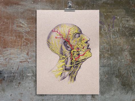 That heading usually consists of a name and an address, and a logo or corporate design, and sometimes a background pattern. Nervous System of the Head. Paper Embroidery by Fabulous Cat Papers | FabulousCatPapers