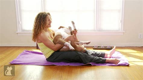 Let's start with a quick refresher: Yoga With Your Dog - Happy Doggy Pose For Your Dog - YouTube