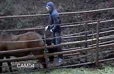 horse mare caught dailystar