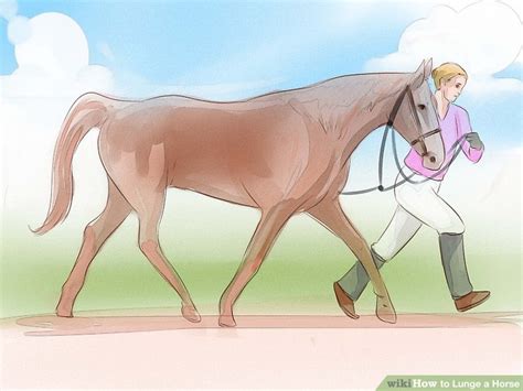 Then every day for 10 to 20 minutes is a good idea with equal time on both sides. 4 Ways to Lunge a Horse - wikiHow