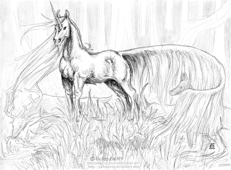 Select from 35970 printable crafts of cartoons, nature, animals, bible and many more. Realistic unicorn coloring pages download and print for free