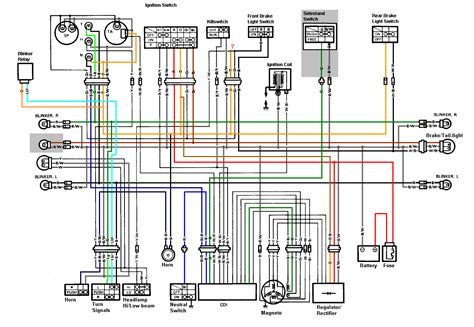 Diagram of voice box larynx. 2006-2016 Yamaha Raptor 700R Clymer Repair Service Workshop Shop Manual M290 ATV, Side-by-Side ...