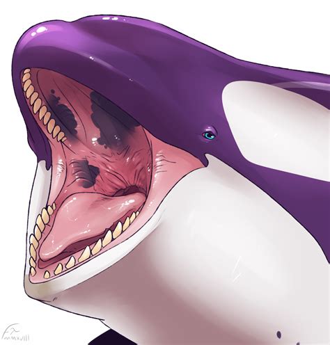 Whale mawshot furaffinity which you are looking for are usable for you on this site. Whale Mawshot Furaffinity - Aurelina Let S Talk About ...
