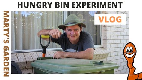 The number of worms in the bin will be determined by the amount and type of food you feed the bin. Hungry Bin Worm Farm "EXPERIMENT VLOG" Part 1 - YouTube