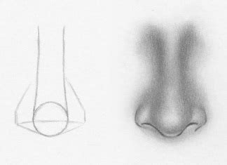 As always, it is worth reminding you that in this lesson we the example of drawing a nose. How to draw a nose from the front - 7 easy steps | Nose ...