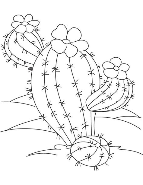 This coloring page features a picture of desert plants to color. Desert cactus coloring page | Cactus embroidery, Coloring ...