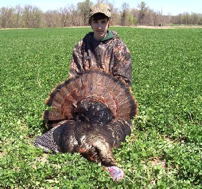Those figures should be taken as general guidelines. The Wild Turkey Zone: Turkey Hunting & Much More