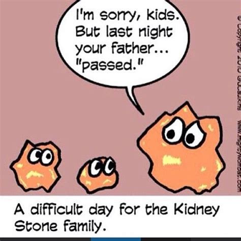 Kidney stones are abnormal, hard, chemical deposits that form inside the kidneys. urology humor | Kidney stones funny, Nurse humor, Medical ...