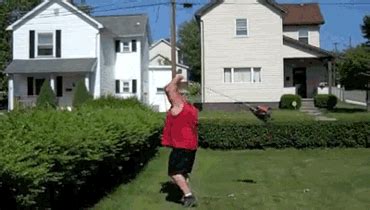 How do we know they're the hottest? Hedge Trimming GIFs - Find & Share on GIPHY