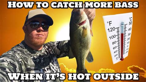 Use your electronics to locate brush, and concentrate on fishing brush pile areas to get strikes. How To Catch More Bass When It's Hot Outside - Summer 2020 ...