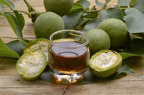 Con l'aiuto dell'indigo, dell'amla, del mallo di noce o del katam? Il Nocino di San Giovanni Battista: un liquore dal gusto ...