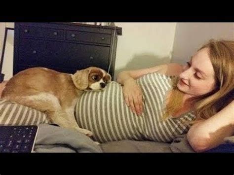 It is rare in children older than 10. Protection Dog - Dogs protecting Pregnant Women Videos ...