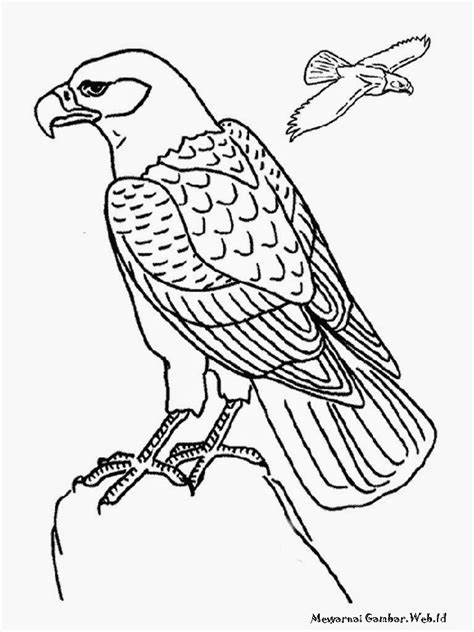 84 gambar burung hantu keren hitam putih gratis terbaik mewarnai gambar sketsa tato burung hantu terbaru kataucap gambar kartun hitam putih burung keren bestkartun. Gambar Burung Hantu Hitam Putih Untuk Diwarnai - Paimin Gambar