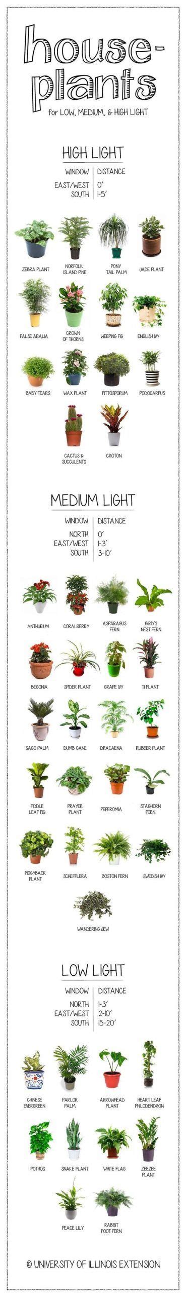 You can purchase algae controller but i found the best result is less light. How much light does your houseplant need? Find out on this ...