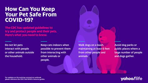 Avoid close contact, clean your hands often, cover coughs and sneezes, stay home if you're sick. How can you keep your pet safe from COVID-19? The CDC ...