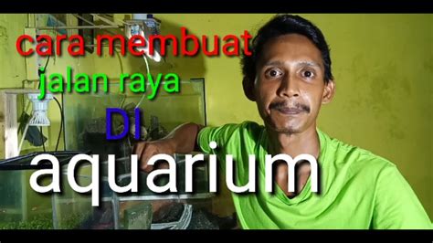 Check spelling or type a new query. cara membuat jalan raya di dalam aquarium - YouTube