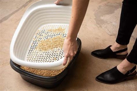 This litter box includes a sift that does most of the work for you, so you don't need a scooper or liner. Sifting Litter Box Large Easy Clean Up Sifter