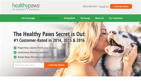 Nationwide Pet vs. Petplan vs. Healthy Paws vs. Banfield ...