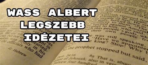 Rossz voltam, s te azt mondtad, jó vagyok. Wass Albert legszebb idézetei