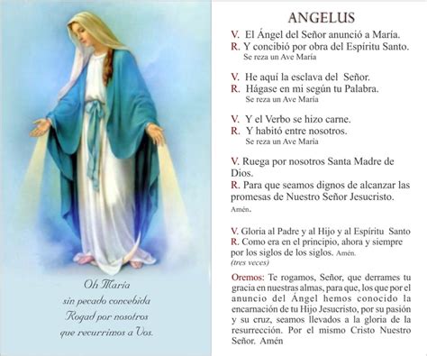 Latin for angel) is a catholic devotion commemorating the incarnation. Ángelus, hermosa devoción • Periódico El Campesino - La ...