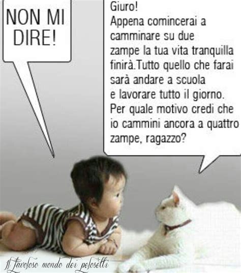 Check spelling or type a new query. Non mi dite | Immagini divertenti, Divertente, Battute ...
