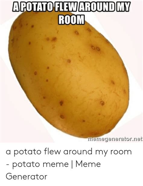 This is a potato flew around my room by laurel pucker on vimeo, the home for high quality videos and the people who love them. A Potato Flew Around My Room Picture : A Potato Flew ...