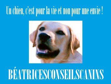 List of beatrice chien release dates. Béatrice Suzan - Beatricesconseilscanins - Éducateur ...