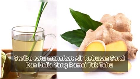 I cuba buat air rebusan halia dan serai dan cuba minum. Khasiat Dan Kebaikan Air Rebusan Serai Dan Halia Yang ...