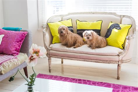Rufus & Heidi in the dog house / PetsPyjamas