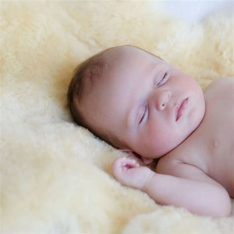 Alternatively, you can wash a big skin outside using a garden hose. Bowron Sheepskin Babycare Rug By Baa Baby ...