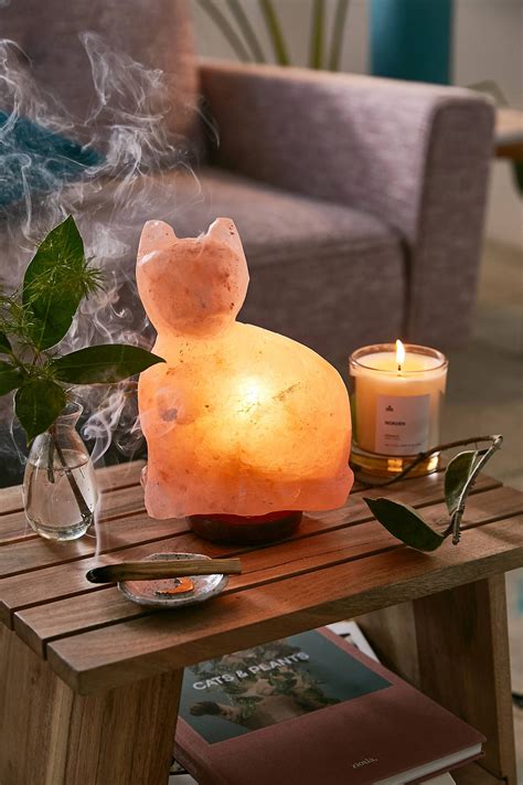 They may lick the lamp and then continue to do so, ingesting too much salt. Cat Himalayan Salt Lamp - Pets Ideas