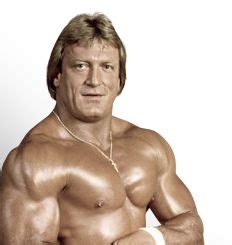 Wonderful moniker by proving himself every. Mr. Wonderful Paul Orndorff | And in this corner ...