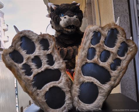 A sincere thank you goes out from the. Drachetto's new indoor footpaws — Weasyl