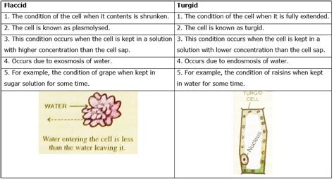 Organelles common to all cells are: What is the difference between 'flaccid' and 'turgid ...