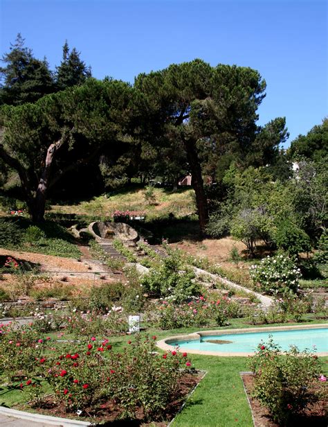 4 minimum stay from 1 night(s) bookable directly. Morcom Rose Garden - Wikipedia