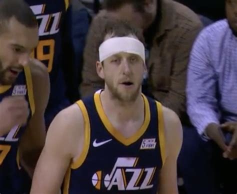 Joe ingles's wife, renae hallinan was born on july 18, 1986 in melbourne, victoria. Some of the best reactions as 'Headband Joe Ingles' took ...