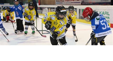 Eishockey ausrüstung kinder im vergleich 2020 ✔ eishockey ausrüstung kinder nach nutzererfahrungen ✔ für alle interessierte an eishockey. Hockeyschule jeden Mittwoch für Kinder bis neun Jahre ...