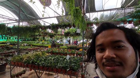 See why this place is a haven for gardeners? Belanja Tanaman di Nursery Sungai Buloh Malaysia - YouTube