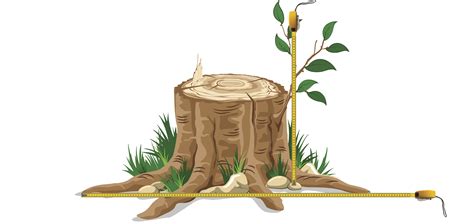 See reviews, photos, directions, phone numbers and more for the best stump removal & grinding in chapel hill, nc. How To Measure - Kevin & Sons' Tree Stump Removal