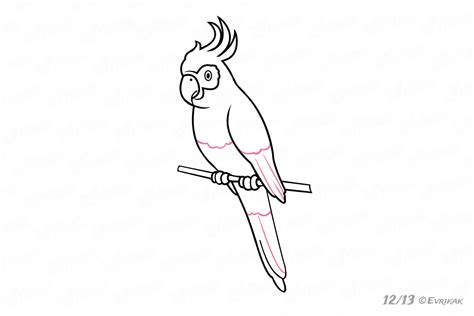 Coba mulai dengan mengenali berbagai jenis dan karakter hewan ini. 20+ Ide Sketsa Burung Macaw - Nation Wides