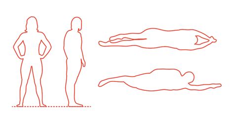 Here's some sets and results that ledecky dropped during training. Katie Ledecky Dimensions & Drawings | Dimensions.com