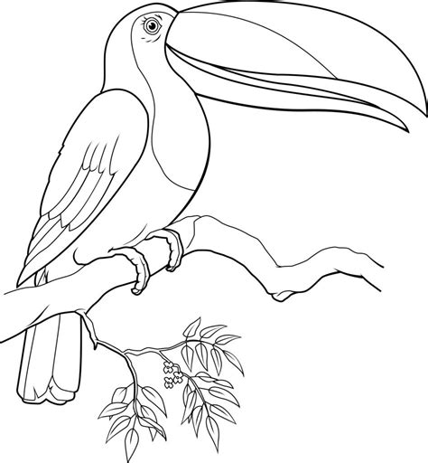 Welcome to our supersite for interactive & printable online coloring pages! Toucan Coloring Pages - Best Coloring Pages For Kids