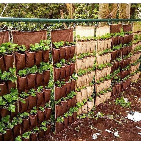 Greenhouse plastic rolls and sheets are one of the best greenhouse covering materials that are way different from regular what do you think: 26 Easy DIY Ideas for Creating an Urban Garden | Vertical ...