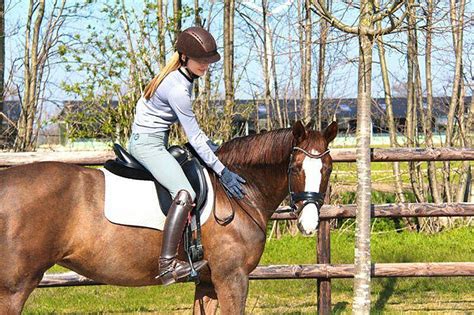 Deze kingsley prix werd een teamcompetitie waarbij shona benner het individueel klassement leidde. Shona Benner fährt zweigleisig