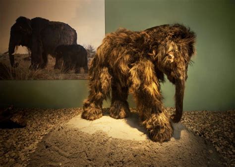 Camp[inge goudsberg ligt op de veluwe, het groene hart van nederland. Bezoekerscentrum Museum Lunteren - Goudsberg: Middelpunt ...